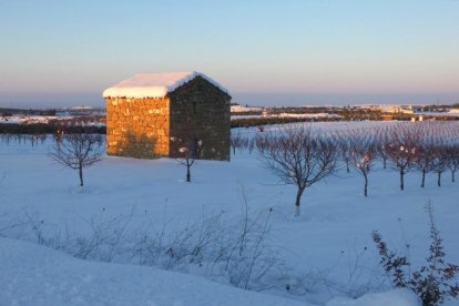 El fred, la boira i la neu... l'hivern ja és aquí!