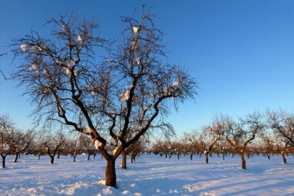 El fred, la boira i la neu... l'hivern ja és aquí!