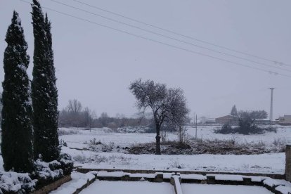 El fred, la boira i la neu... l'hivern ja és aquí!