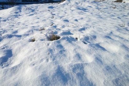 El fred, la boira i la neu... l'hivern ja és aquí!