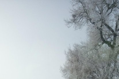 El fred, la boira i la neu... l'hivern ja és aquí!