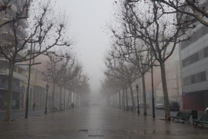 El fred, la boira i la neu... l'hivern ja és aquí!