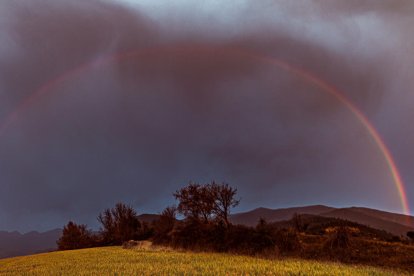 El fred, la boira i la neu... l'hivern ja és aquí!