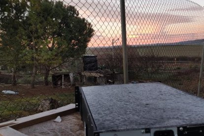 El fred, la boira i la neu... l'hivern ja és aquí!