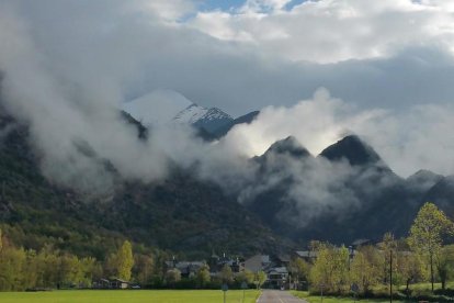 Arbres florits, camps verds i bon temps...ja és aquí a primavera!