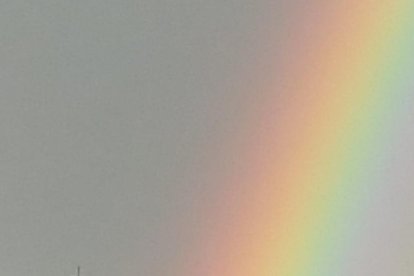 Arbres florits, camps verds i bon temps...ja és aquí a primavera!