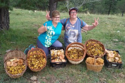 Rovellons, ceps, fredolics,...envia'ns fotos de la teva sortida al bosc.