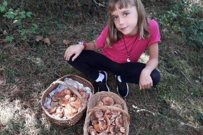 Rovellons, ceps, fredolics,...envia'ns fotos de la teva sortida al bosc.