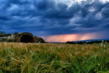 Arbres florits, camps verds i bon temps...ja és aquí a primavera!