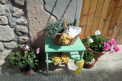 Arbres florits, camps verds i bon temps...ja és aquí a primavera!