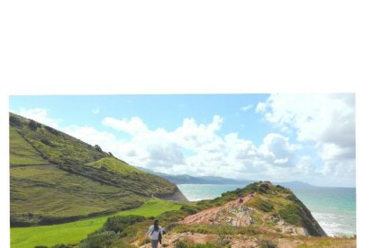 Arbres florits, camps verds i bon temps...ja és aquí a primavera!