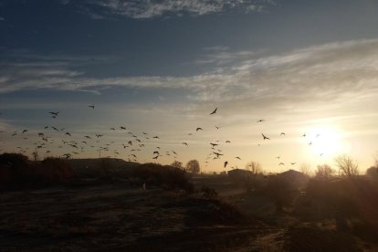 Arbres florits, camps verds i bon temps...ja és aquí a primavera!