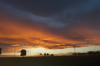 Arbres florits, camps verds i bon temps...ja és aquí a primavera!