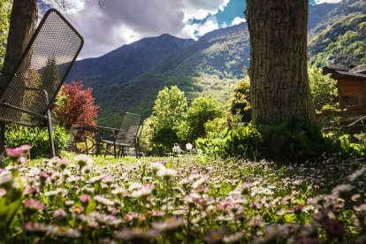 Arbres florits, camps verds i bon temps...ja és aquí a primavera!