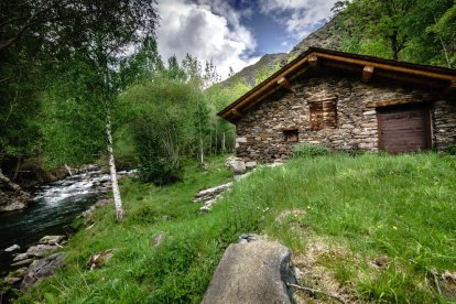 Arbres florits, camps verds i bon temps...ja és aquí a primavera!