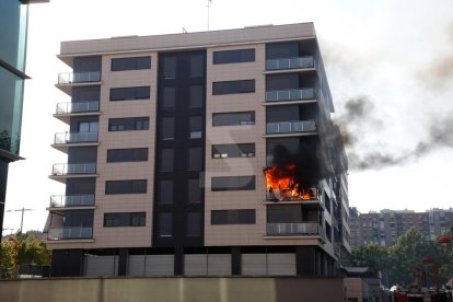 Itmar Fabregat / Lleonard Delshams