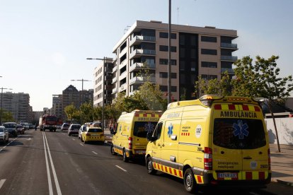 Itmar Fabregat / Lleonard Delshams