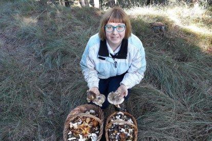 Rovellons, ceps, fredolics,...envia'ns fotos de la teva sortida al bosc.