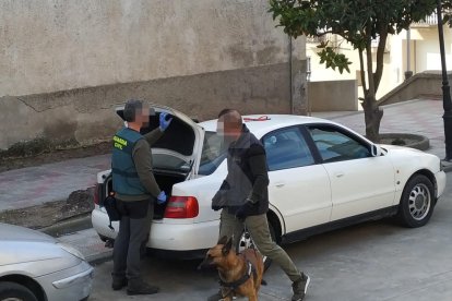 Registros de la Guardia Civil en la capital del Segrià, Almacelles, Castellnou de Seana y Bellpuig.