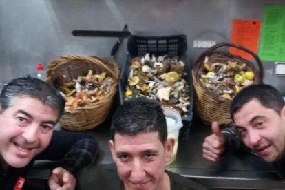 Rovellons, ceps, fredolics,...envia'ns fotos de la teva sortida al bosc.