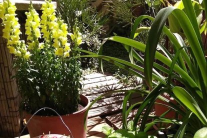 Nuria Antolin Fernandez