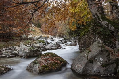 Les fulles cauen, arriba la boira i comença a fer fred.