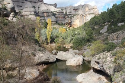 Les fulles cauen, arriba la boira i comença a fer fred.