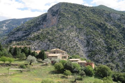 Les fulles cauen, arriba la boira i comença a fer fred.