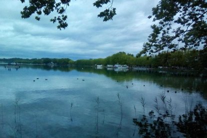 Maria Dolors Orrit Piñol