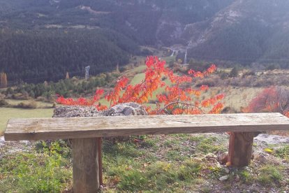 Les fulles cauen, arriba la boira i comença a fer fred.