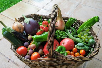 Les fulles cauen, arriba la boira i comença a fer fred.