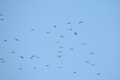 Les fulles cauen, arriba la boira i comença a fer fred.