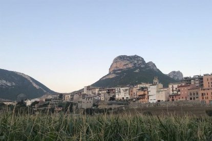 Les fulles cauen, arriba la boira i comença a fer fred.