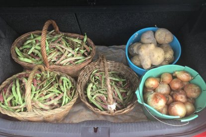 Les fulles cauen, arriba la boira i comença a fer fred.