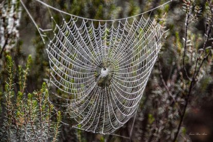 Les fulles cauen, arriba la boira i comença a fer fred.