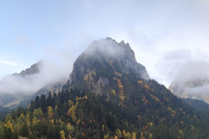 Yolanda Llasera Reales