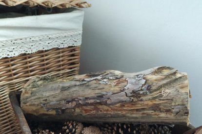 Les fulles cauen, arriba la boira i comença a fer fred.