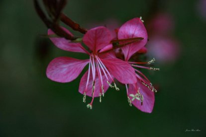 Les fulles cauen, arriba la boira i comença a fer fred.