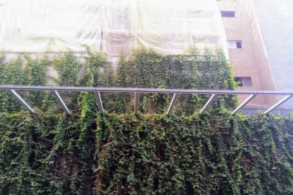 Les fulles cauen, arriba la boira i comença a fer fred.