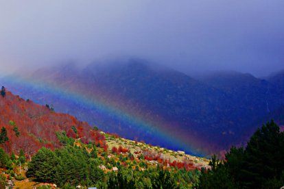 Les fulles cauen, arriba la boira i comença a fer fred.