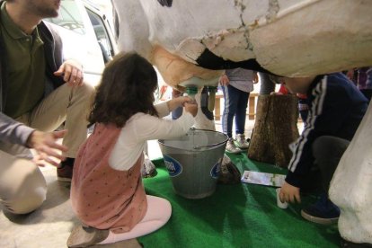 Lleonard Delshams i Itmar Fabregat