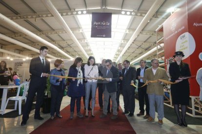 Lleonard Delshams i Itmar Fabregat