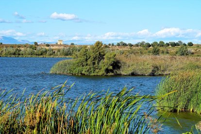 Les fulles cauen, arriba la boira i comença a fer fred.