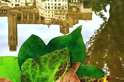 Les fulles cauen, arriba la boira i comença a fer fred.