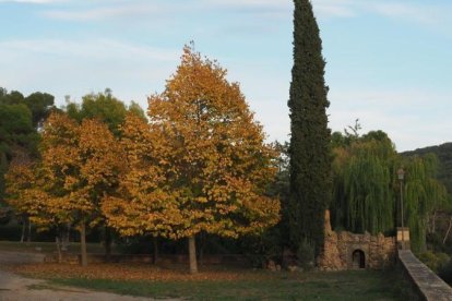Les fulles cauen, arriba la boira i comença a fer fred.