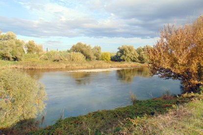 Les fulles cauen, arriba la boira i comença a fer fred.