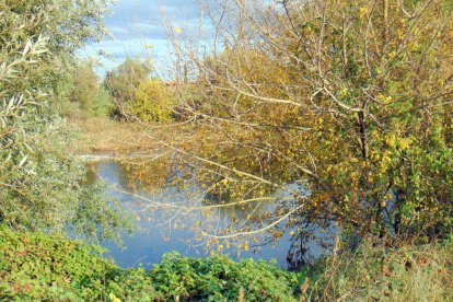 Les fulles cauen, arriba la boira i comença a fer fred.