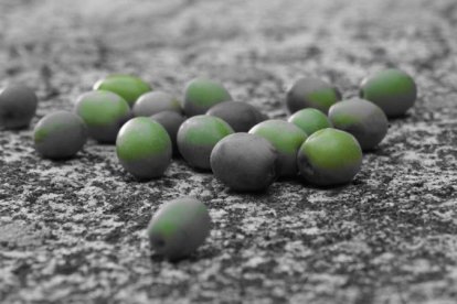 Les fulles cauen, arriba la boira i comença a fer fred.