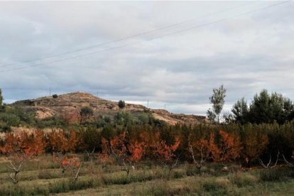Les fulles cauen, arriba la boira i comença a fer fred.