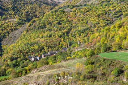 Les fulles cauen, arriba la boira i comença a fer fred.